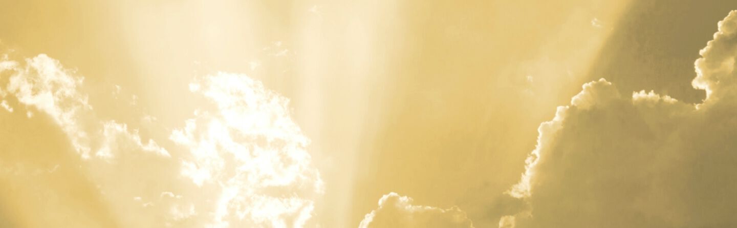 ส่วนบนสุดของเว็บไซต์